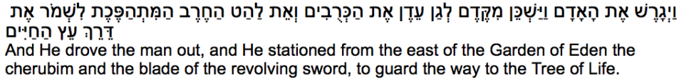 3 Emoji D’var Torah 10:15:14 TRANSLITERATED 3