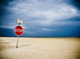 145211107_f2020ec804_b