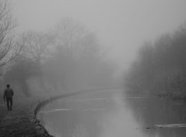 16303005559_cc1bb1a210_b