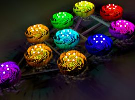 3333092344_f3855a6385_o