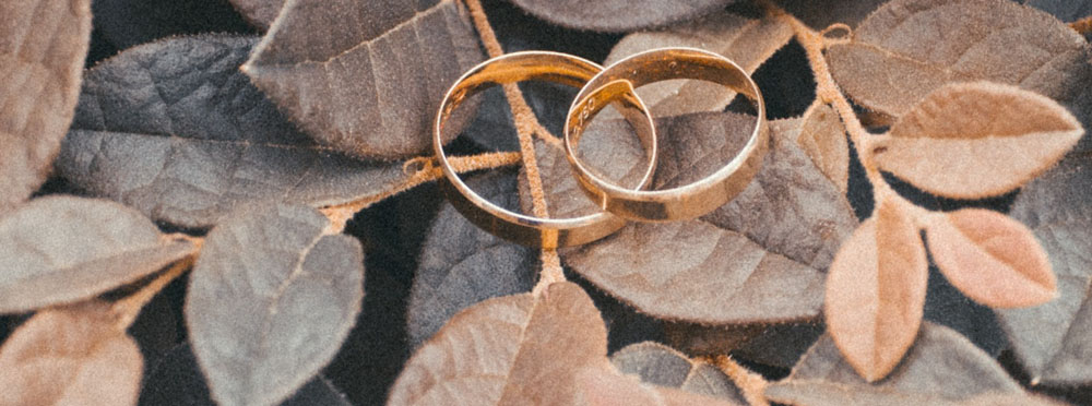 Two gold rings on autum leaves